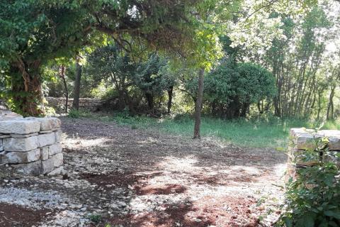 Земельный участок нестроительного назначения Vodnjan, 8.729m2