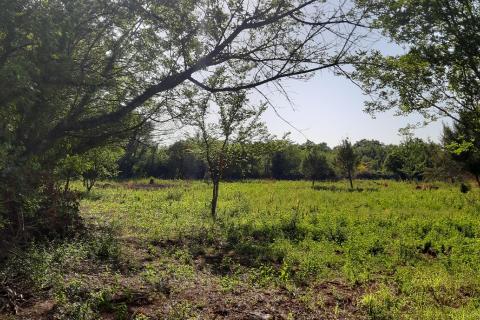 Земельный участок нестроительного назначения Vodnjan, 8.729m2