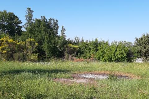 Земельный участок нестроительного назначения Vodnjan, 8.729m2