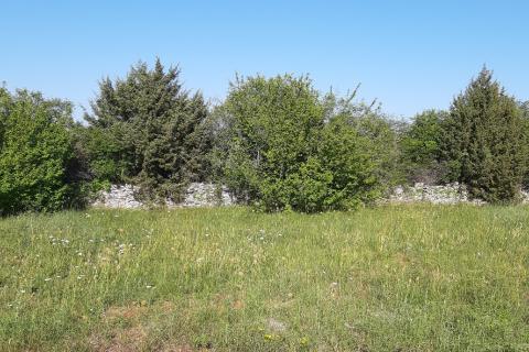 Земельный участок нестроительного назначения Vodnjan, 8.729m2