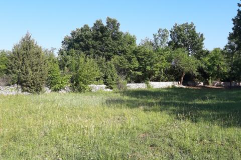 Земельный участок нестроительного назначения Vodnjan, 8.729m2