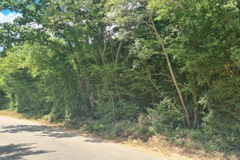 Marasi okolica: Šuma 12.750 m2 u blizini naselja uz cestu