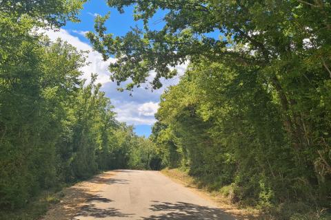 Marasi okolica: Šuma 12.750 m2 u blizini naselja uz cestu