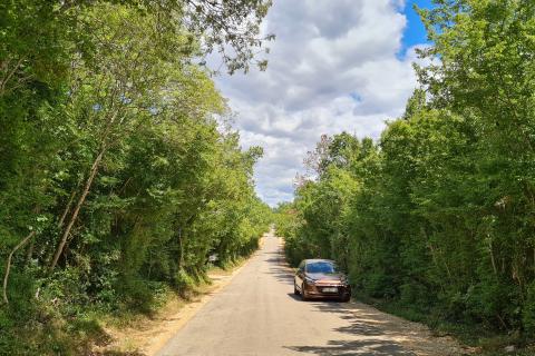 Marasi okolica: Šuma 12.750 m2 u blizini naselja uz cestu