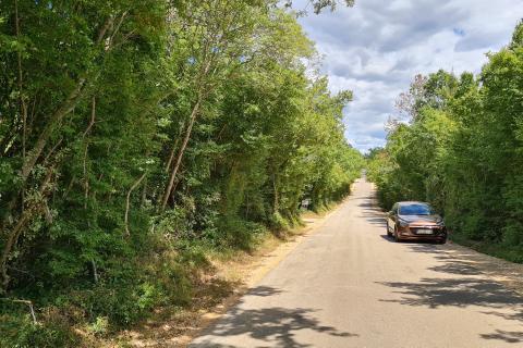 Marasi okolica: Šuma 12.750 m2 u blizini naselja uz cestu