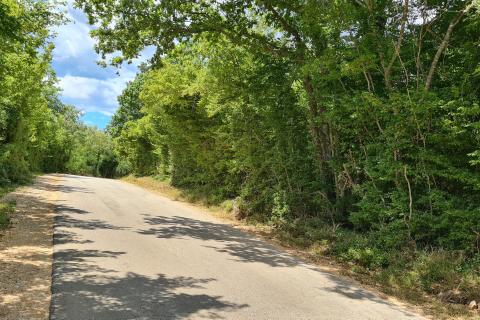 Marasi okolica: Šuma 12.750 m2 u blizini naselja uz cestu