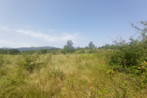 Generalski Stol, Poljoprivredno zemljište 6585 m2