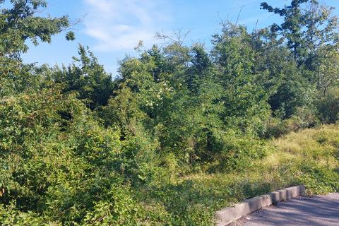 Terreno edificabile Matulji, 953m2