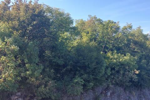 Terreno edificabile Matulji, 953m2