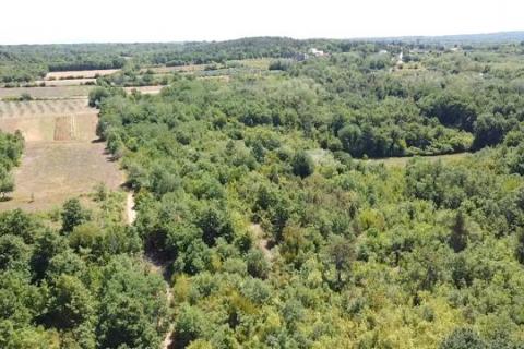 Baderna, Poreč, 6.117m2