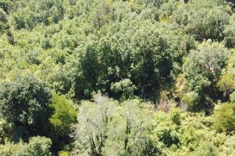 Baderna, Poreč, 6.117m2