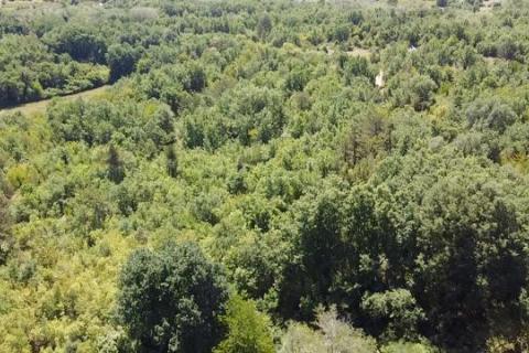 Baderna, Poreč, 6.117m2