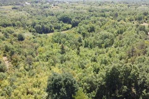 Baderna, Poreč, 6.117m2