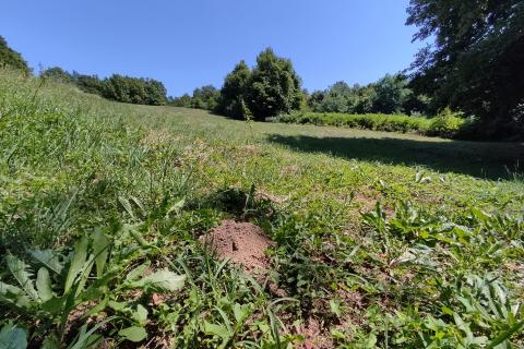 Donji Trpuci, Brezovica, 1.295m2