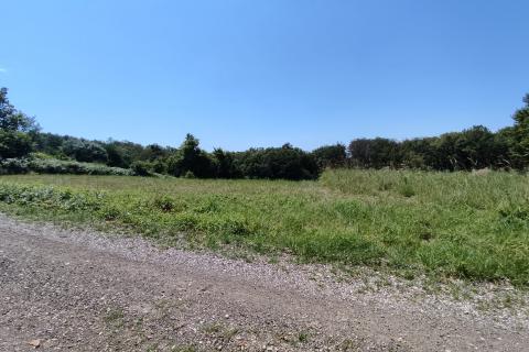 Donji Trpuci, Brezovica, 1.295m2