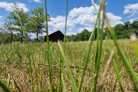 Земельный участок нестроительного назначения Zaumol, Vrbovsko, 3.100m2