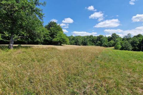 Земельный участок нестроительного назначения Zaumol, Vrbovsko, 3.100m2