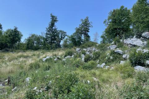 Земельный участок строительного назначения Mučići, Matulji, 1.955m2