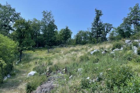 Земельный участок строительного назначения Mučići, Matulji, 1.955m2