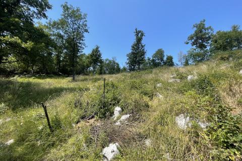 Земельный участок строительного назначения Mučići, Matulji, 1.955m2