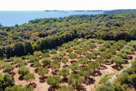 Земельный участок нестроительного назначения Rovinj, 3.223m2