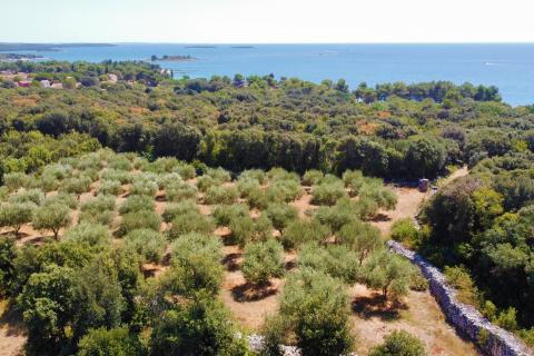 Земельный участок нестроительного назначения Rovinj, 3.223m2