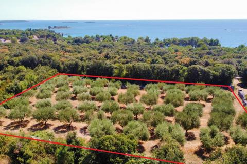 Земельный участок нестроительного назначения Rovinj, 3.223m2