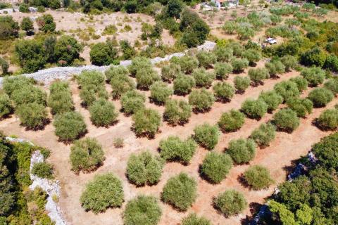 Земельный участок нестроительного назначения Rovinj, 3.223m2