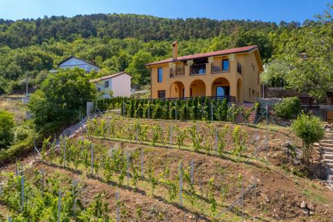 IČIĆI, Poljane - Kuća za najam