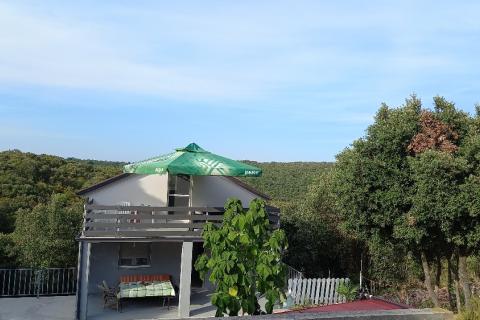 Istra,Marčana,Kavran,legalizirana kuća u prirodi