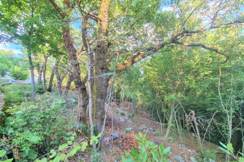 Terreno edificabile Bregi, Matulji, 1.230m2