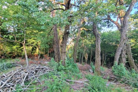 Terreno edificabile Bregi, Matulji, 1.230m2