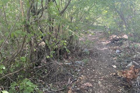 Rijeka, Pehlin - građevinski teren površine 6246m2