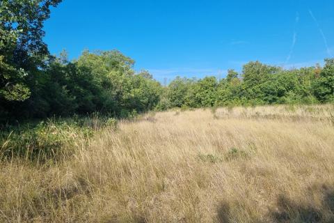 Šišan, poljoprivredno zemljište 6,316 m2