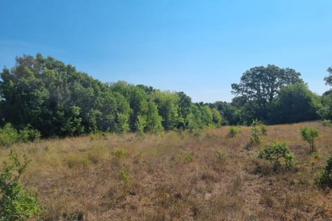 Šišan, poljoprivredno zemljište 6,316 m2