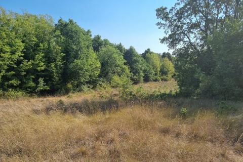 Šišan, poljoprivredno zemljište 6,316 m2