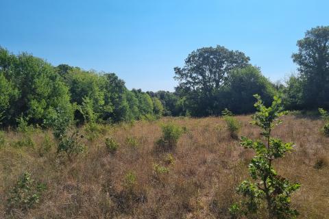 Šišan, poljoprivredno zemljište 6,316 m2