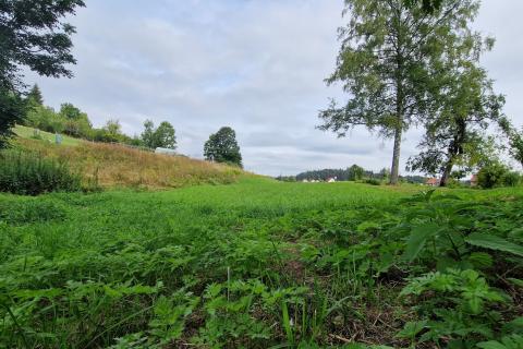 Земельный участок строительного назначения Ravna Gora, 3.620m2