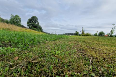 Земельный участок строительного назначения Ravna Gora, 3.620m2