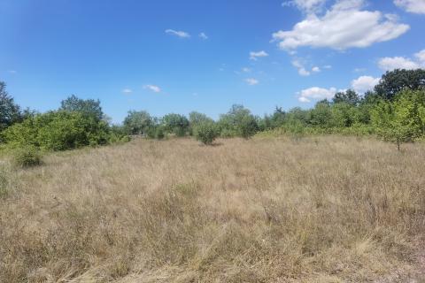 ISTRA,REŽANCI -Zemljište 6500m2