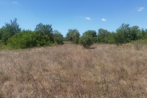 ISTRA,REŽANCI -Zemljište 6500m2