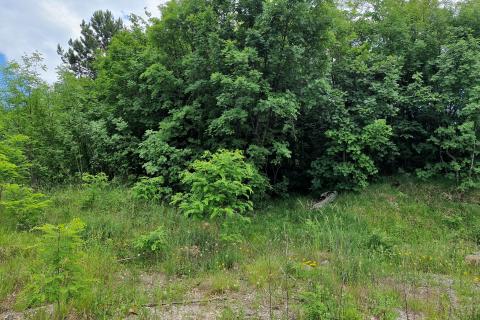 Земельный участок строительного назначения Krušvari, Buzet, 600m2