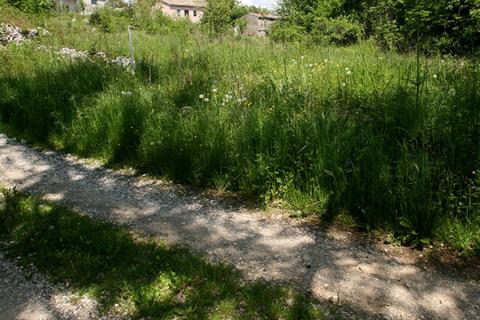 Matulji,Mučići ,građevni teren