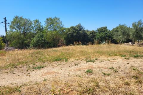 Barbariga, Vodnjan, 801m2