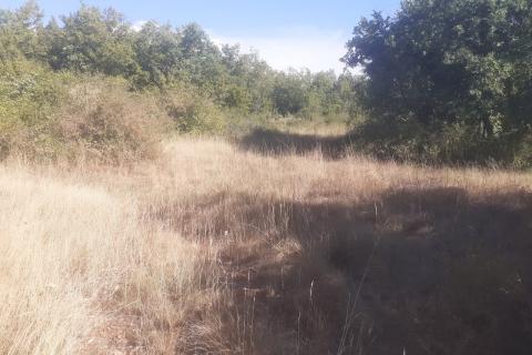 Juršići, Svetvinčenat, 139.018m2