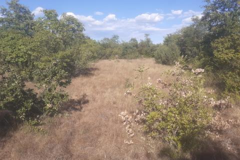 Juršići, Svetvinčenat, 139.018m2