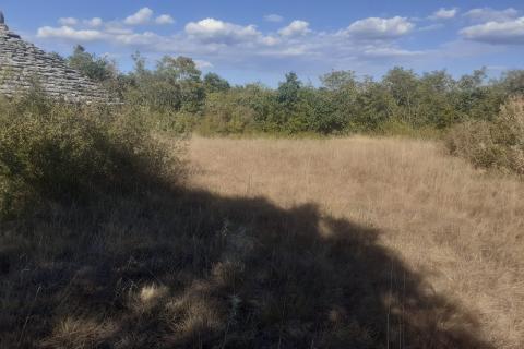 Juršići, Svetvinčenat, 139.018m2