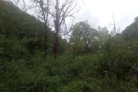 Donje dubrave, zemljište na rijeci Mrežnici 799 m2