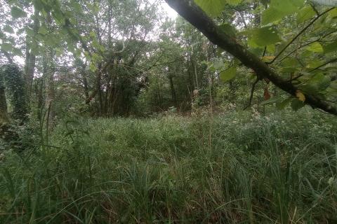 Donje dubrave, zemljište na rijeci Mrežnici 799 m2