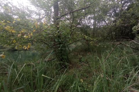 Donje dubrave, zemljište na rijeci Mrežnici 799 m2